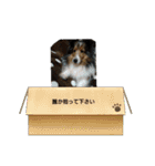 ルナルナスタンプ時々モカ（個別スタンプ：13）