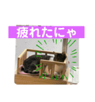 2021年子供達だよ（個別スタンプ：15）