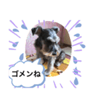 恵ママとコジちゃん（個別スタンプ：4）