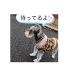 恵ママとコジちゃん（個別スタンプ：5）