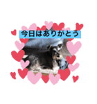 恵ママとコジちゃん（個別スタンプ：6）
