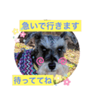 恵ママとコジちゃん（個別スタンプ：7）