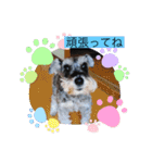 恵ママとコジちゃん（個別スタンプ：9）
