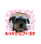 恵ママとコジちゃん（個別スタンプ：12）