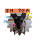 恵ママとコジちゃん（個別スタンプ：13）