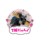 恵ママとコジちゃん（個別スタンプ：17）