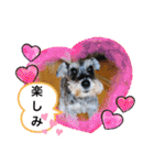 恵ママとコジちゃん（個別スタンプ：19）