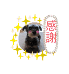 恵ママとコジちゃん（個別スタンプ：20）