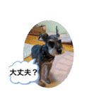 恵ママとコジちゃん（個別スタンプ：21）