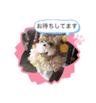 恵ママとコジちゃん（個別スタンプ：24）