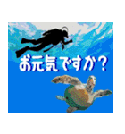 沖縄大好き、沖縄行きたい（個別スタンプ：6）