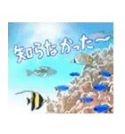 沖縄大好き、沖縄行きたい（個別スタンプ：7）