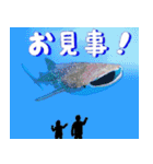 沖縄大好き、沖縄行きたい（個別スタンプ：12）