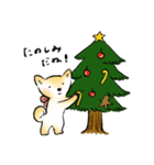 秋田犬のあきちゃん : クリスマス（個別スタンプ：6）