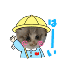 暴れん坊ニャン軍（個別スタンプ：19）