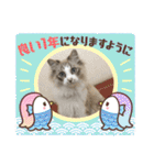 暴れん坊ニャン軍（個別スタンプ：36）