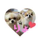 taro ＆ ran（個別スタンプ：1）