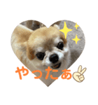 taro ＆ ran（個別スタンプ：5）