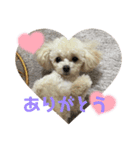 taro ＆ ran（個別スタンプ：6）