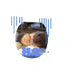 柴犬ゲン18才（個別スタンプ：6）