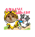 ファン太＆ペプ志保護猫兄弟の大冒険（個別スタンプ：34）