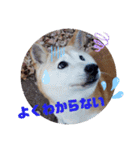 みんなと一緒 16（個別スタンプ：4）