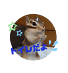 みんなと一緒 16（個別スタンプ：7）