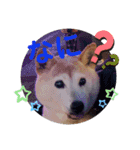みんなと一緒 16（個別スタンプ：8）