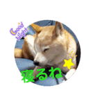 みんなと一緒 16（個別スタンプ：15）