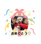 ハルたい（個別スタンプ：13）