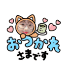 ハルたい（個別スタンプ：24）