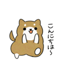 かわいい柴犬♥️「あいさつ」（個別スタンプ：1）