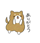 かわいい柴犬♥️「あいさつ」（個別スタンプ：4）