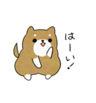 かわいい柴犬♥️「あいさつ」（個別スタンプ：5）