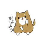 かわいい柴犬♥️「あいさつ」（個別スタンプ：6）