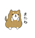 かわいい柴犬♥️「あいさつ」（個別スタンプ：14）