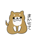 かわいい柴犬♥️「あいさつ」（個別スタンプ：18）