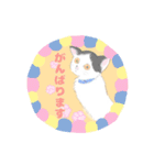 我が家と周りの猫たちの日常会話（個別スタンプ：14）