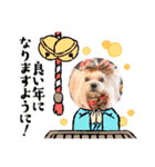 キャリーシェリーPart3（個別スタンプ：4）