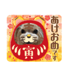 キャリーシェリーPart3（個別スタンプ：9）