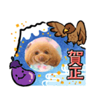 キャリーシェリーPart3（個別スタンプ：10）