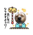 キャリーシェリーPart3（個別スタンプ：11）