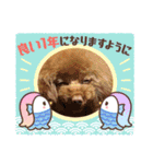キャリーシェリーPart3（個別スタンプ：12）