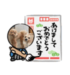 キャリーシェリーPart3（個別スタンプ：14）