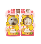 ゆなマロ（個別スタンプ：40）