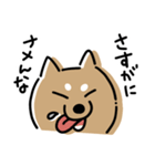 毎日使える犬のスタンプ season 2（個別スタンプ：3）