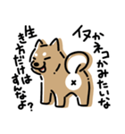 毎日使える犬のスタンプ season 2（個別スタンプ：4）