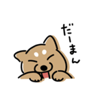 毎日使える犬のスタンプ season 2（個別スタンプ：21）