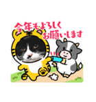 2021〜2022 使えるスタンプ（個別スタンプ：3）