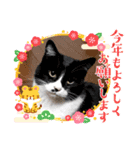2021〜2022 使えるスタンプ（個別スタンプ：5）